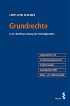 Christoph Bezemek - Grundrechte (f. Österreich)