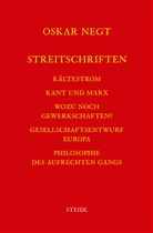 Oskar Negt - Werkausgabe - 18: Werkausgabe Bd. 18 / Streitschriften