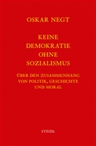 Oskar Negt - Werkausgabe - 5: Werkausgabe Bd. 5 / Keine Demokratie ohne Sozialismus