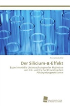 Andre Berkefeld - Der Silicium-Alpha-Effekt