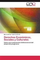 María del Pilar Gutiérrez Perilla - Derechos Económicos, Sociales y Culturales