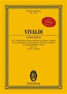 Antonio Vivaldi, Wolfgang Birtel - Concerto g-Moll