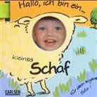 Mein Buggy-Buch: Hallo, ich bin ein kleines Schaf