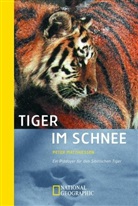 Peter Matthiessen - Tiger im Schnee