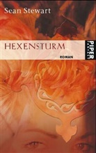 Sean Stewart - Hexensturm