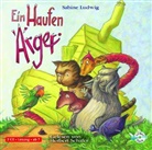 Sabine Ludwig, Herbert Schäfer - Ein Haufen Ärger, 2 Audio-CDs (Audio book)