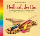 Gomer E. Evans, Gomer Edwin Evans - Heilkraft des Pan, 1 Audio-CD (Hörbuch)