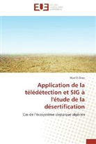 Wael El Zerey, El zerey-w - Application de la teledetection