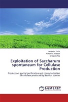 Roheen Abdullah, Roheena Abdullah, Shagufta Naz, Wajeeh Zafar, Wajeeha Zafar - Exploitation of Saccharum spontaneum for Cellulase Production