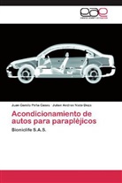 Julian Andres Nieto Doza, Juan Camil Peña Casas, Juan Camilo Peña Casas - Acondicionamiento de autos para parapléjicos