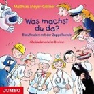 Matthias Meyer-Göllner - Was machst du da? Berufe raten mit der Zappelbande (Livre audio)