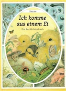 Renne - Ich komme aus einem Ei