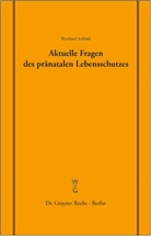 Bernhard Schlink - Aktuelle Fragen des pränatalen Lebensschutzes