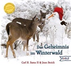 Carl R. Sams, Jean Stoick - Das Geheimnis im Winterwald
