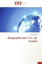 Fathy Boulifa, Boulifa-f - Geographie des t.i.c. en tunisie