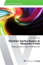 Thomas Schachinger - Electron Vortex Beams in Magnetic Fields