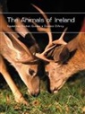 &amp;apos, Gordon arcy, D&amp;apos, Gordon D'Arcy, Gordon D''arcy - Animals of Ireland