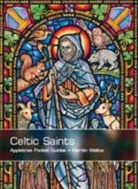 Martin Wallace - Celtic Saints