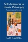 Jari Kaukua, Jari (University of Jyvaskyla Kaukua, Kaukua Jari - Self-Awareness in Islamic Philosophy