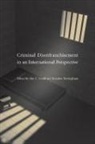 Alec C. Ewald, Alec C. Rottinghaus Ewald, Brandon Ewald Rottinghaus, Alec C. Ewald, Brandon Rottinghaus, Rottinghaus Brandon - Criminal Disenfranchisement in an International Perspective