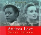 Andrea Levy - Small Island (Audio book)