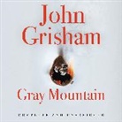 John Grisham, Catherine Taber - Gray Mountain (Hörbuch)