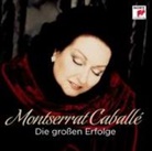 Die großen Erfolge, 1 Audio-CD (Audiolibro)