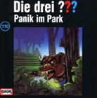 Alfred Hitchcock, Oliver Rohrbeck, Jens Wawrczeck - Die drei ??? - Panik im Park, 1 Audio-CD (Audio book)