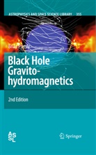 Brian Punsly - Black Hole Gravitohydromagnetics