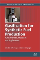 R Luque, R. Luque, R. (Universidad De Cordoba Luque, Rafael Speight Luque, R Luque, R. Luque... - Gasification for Synthetic Fuel Production