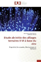 Badr-Eddine Nabi Brahmi, Badr-Eddine Nabil Brahmi, Abdelkrim Merad - Etude ab initio des alliages