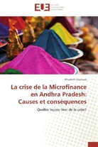Elisabeth Courland, Courland-e - La crise de la microfinance en