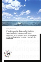 Landry Ngono Tsimi, Tsimi-l - L autonomie des collectivites