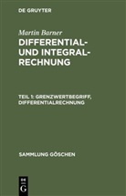 Martin Barner - Martin Barner: Differential- und Integralrechnung - Teil 1: Grenzwertbegriff, Differentialrechnung
