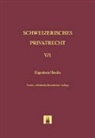 Thomas Sutter-Somm - Eigentum und Besitz