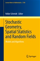 Volke Schmidt, Volker Schmidt - Stochastic Geometry, Spatial Statistics and Random Fields