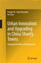 Fei Chen, Pengfe Ni, Pengfei Ni, Banj Oyeyinka, Banji Oyeyinka - Urban Innovation and Upgrading in China Shanty Towns