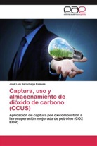 José Luis Saráchaga Esteves - Captura, uso y almacenamiento de dióxido de carbono (CCUS)