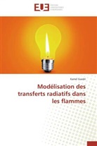 Kamel Guedri, Guedri-k - Modelisation des transferts