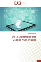 Stéphane Brunel, Brunel-s - De la didactique des usages