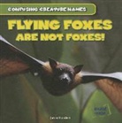 Jamie Honders - Flying Foxes Are Not Foxes!