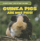 Evelyn Ryan - Guinea Pigs Are Not Pigs!