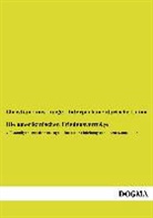 Christian Lous Lange, Interparlamentarische Union, Interparlamentarisch Union, Interparlamentarische Union - Die amerikanischen Friedensverträge