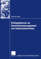 Stefanie Matz - Erfolgsfaktoren im Innovationsmanagement von Industriebetrieben
