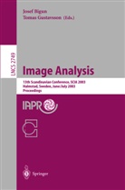 Jose Bigun, Josef Bigun, Gustavsson, Gustavsson, Thomas Gustavsson - Image Analysis