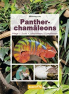 Manfred Au - Pantherchamäleons