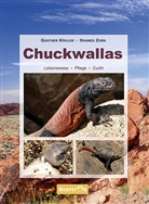 Gunther Köhler, Hannes Zorn - Chuckwallas