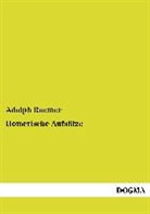 Adolph Roemer - Homerische Aufsätze