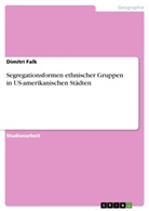 Dimitri Falk - Segregationsformen ethnischer Gruppen in US-amerikanischen Städten