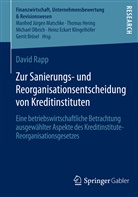 David Rapp - Zur Sanierungs- und Reorganisationsentscheidung von Kreditinstituten